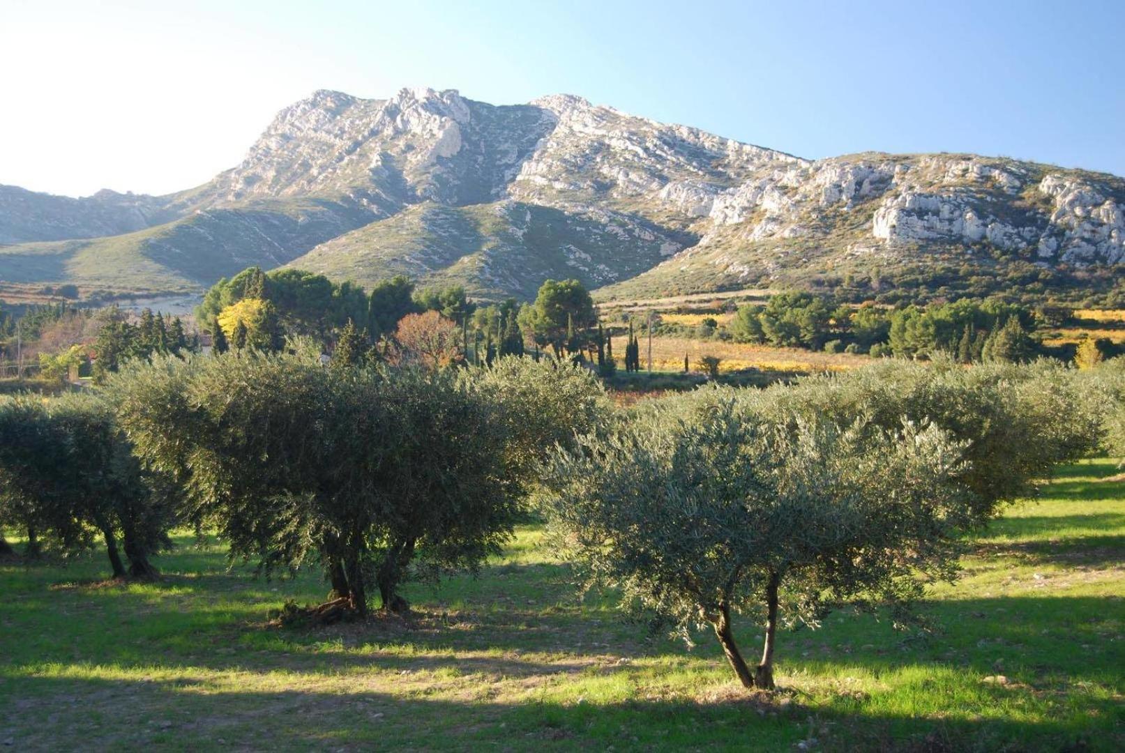 Sous Le Soleil Des Alpilles Lägenhet Mouries Exteriör bild