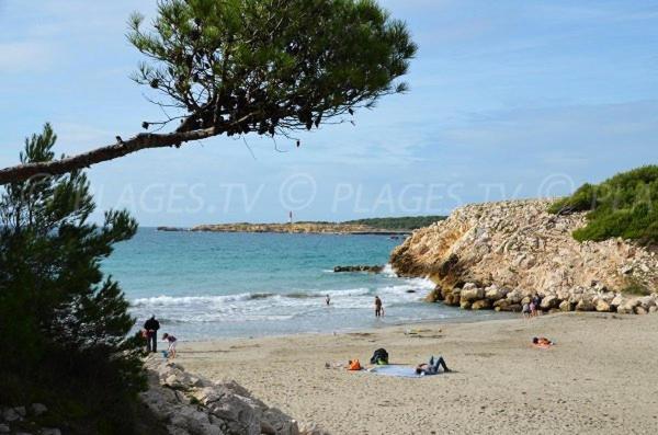 Sous Le Soleil Des Alpilles Lägenhet Mouries Exteriör bild